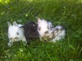 20130606_111448.jpg