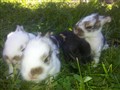 20130606_111510.jpg