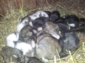 20130606_111802.jpg